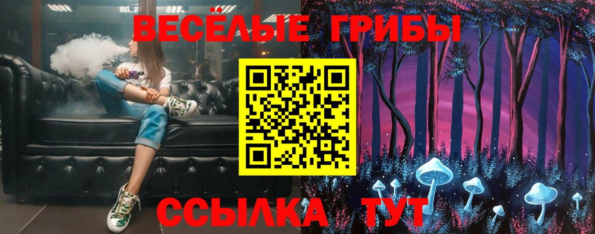 Клинцы  Псилоцибиновые грибы Cubensis  Галлюциногенные грибы мицелий  Вход с VPN 